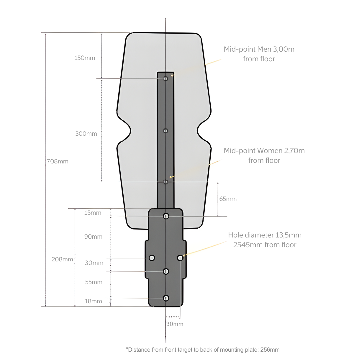 Centr x Hyrox Wall Ball Package