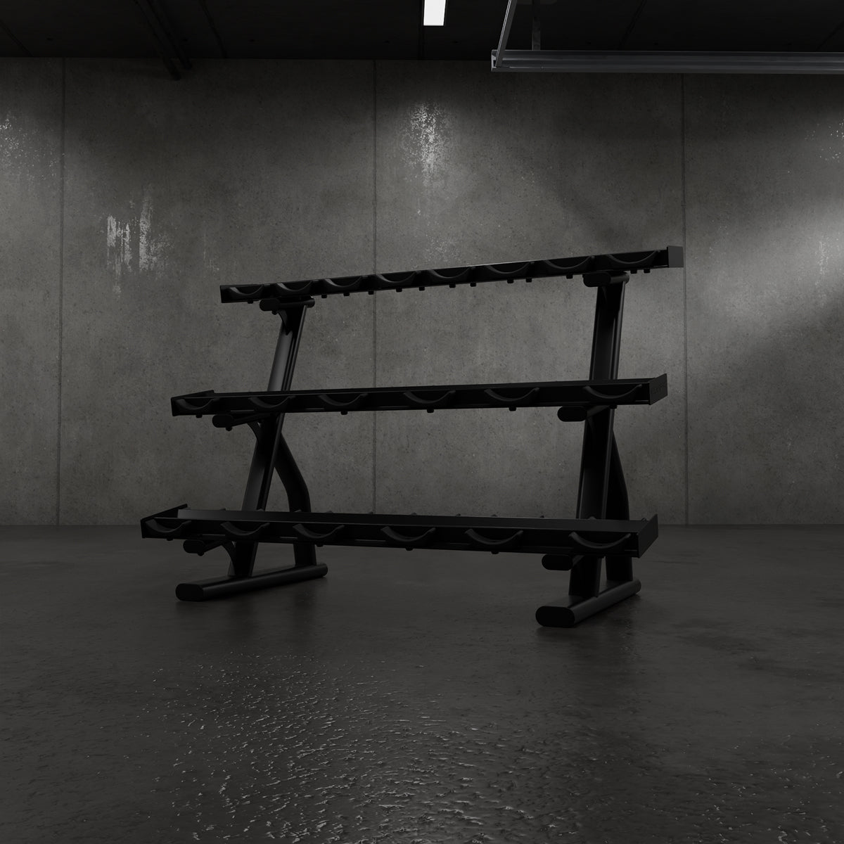 Centr x HYROX 10-pair dumbbell rack in a training space
