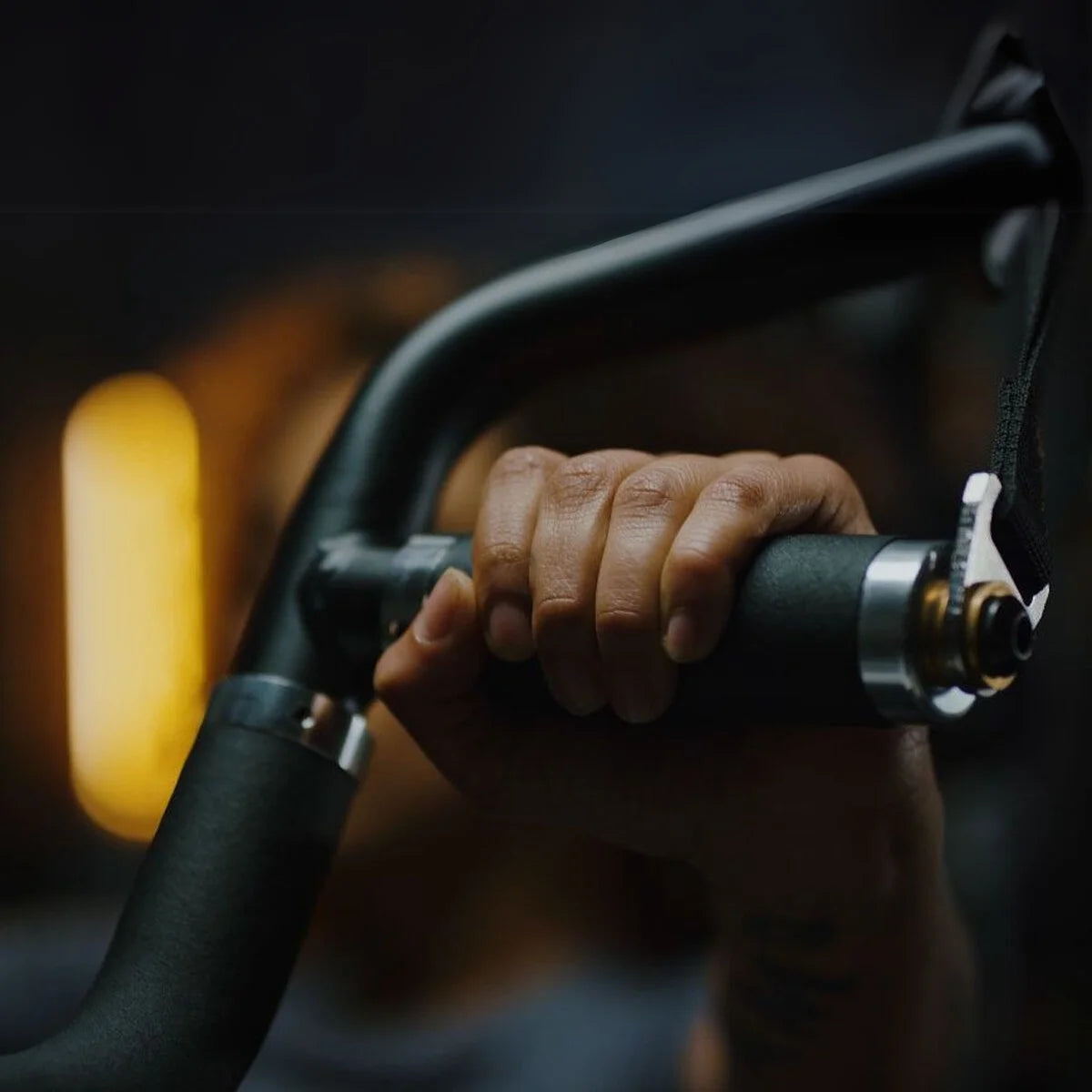 M2 MULTI-GYM