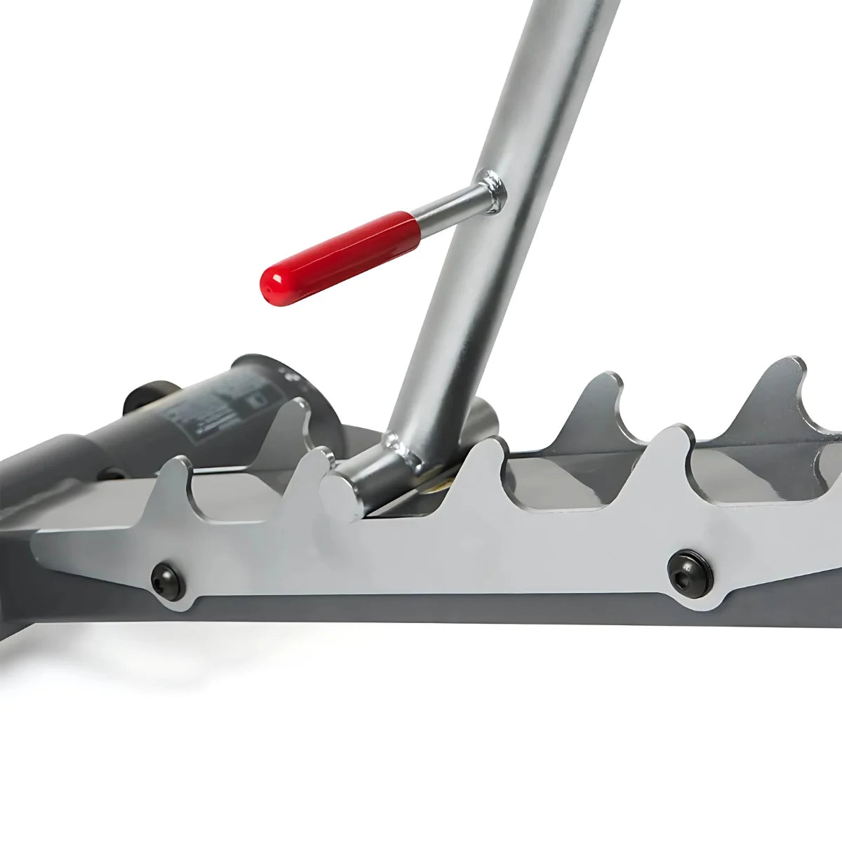 SCS WEIGHT BENCH