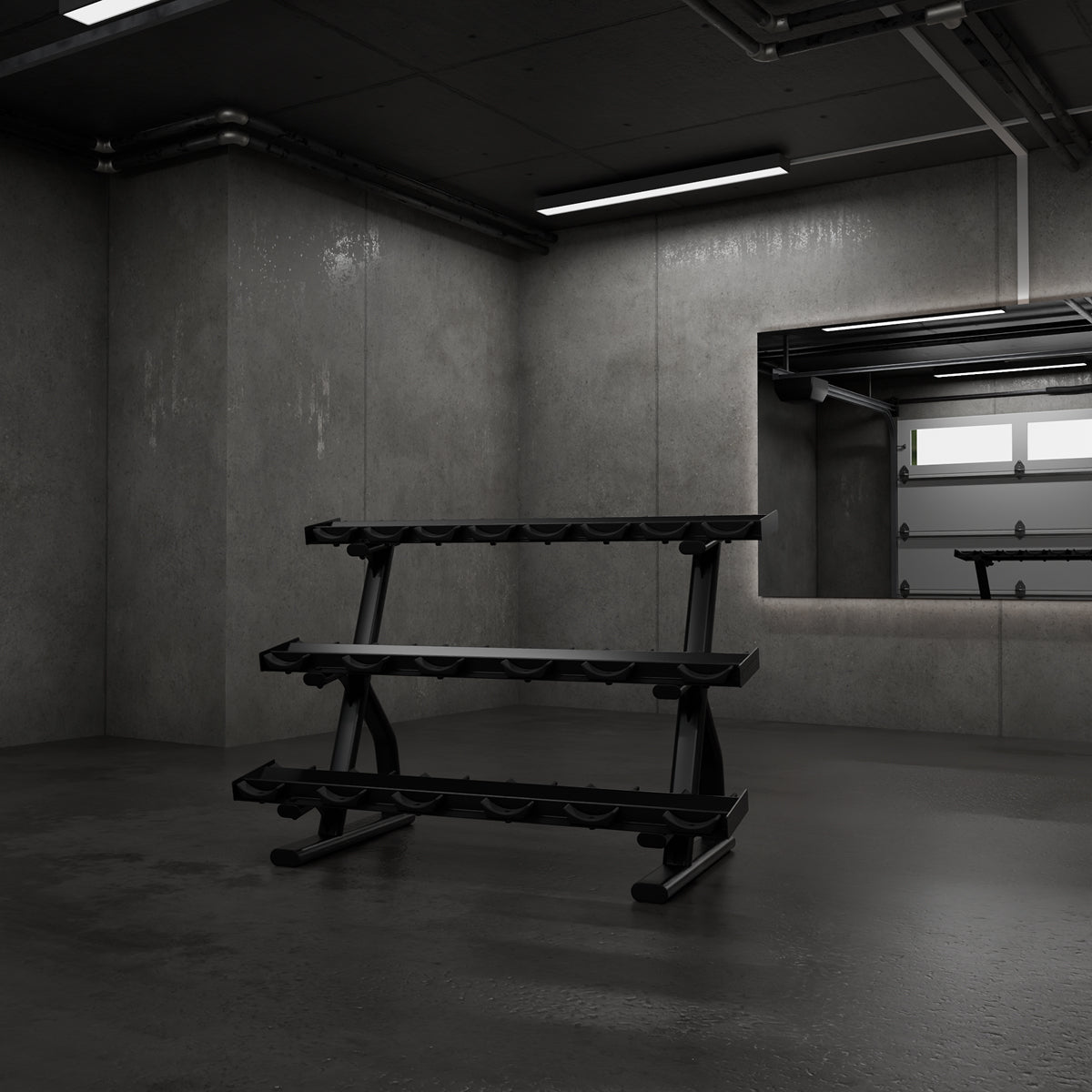 Centr x HYROX dumbbell rack in a gym setting